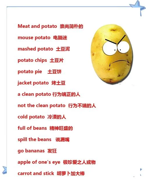 薯片英语介绍-薯片英文简介