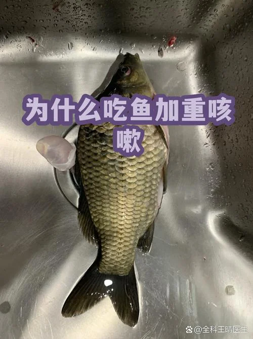 梦见吃鱼好多鱼刺扎嘴_1