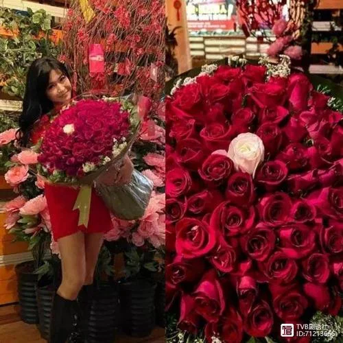 寻找女神娇阿依结局-女娇阿依结局