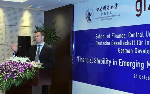 金融稳定理事会官网_2