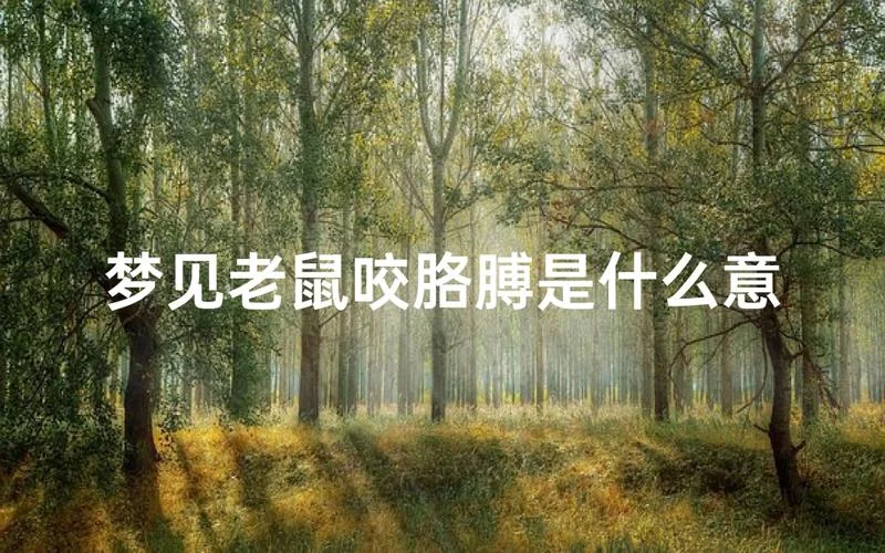 梦见老鼠咬自己是怎么回事_2