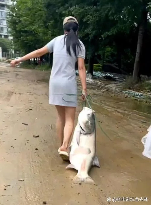 梦见别人抓鱼我帮他捡_1