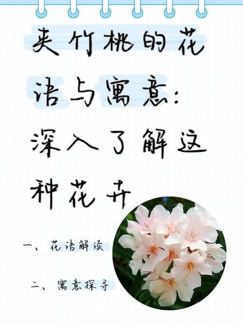 夹竹桃的花语怎么写_1