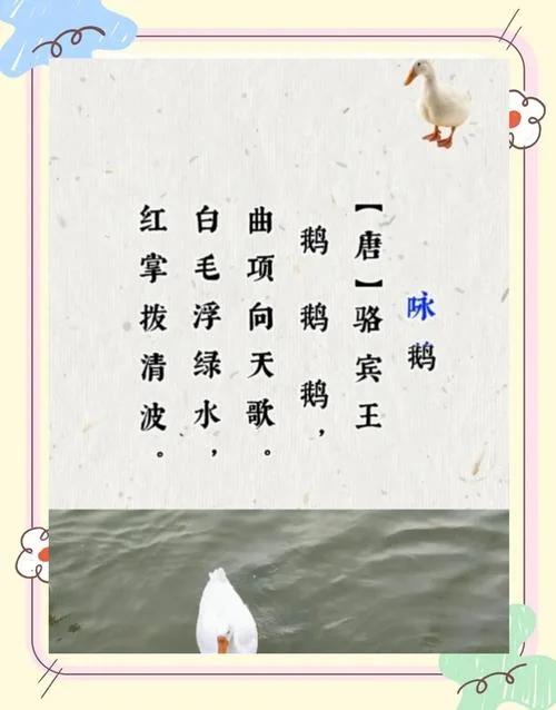 鹅作者是谁写的_2
