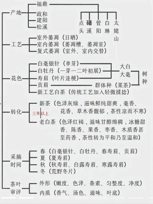 白茶产于哪个省_1