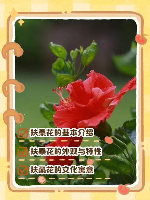 梦到种花草是什么意思-梦到种花草含义