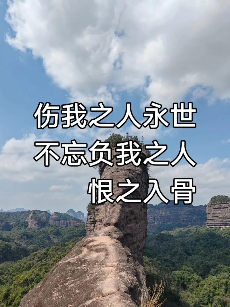 必有一伤的上一句是什么_1