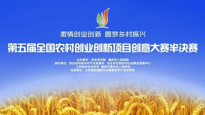创业项目的创意-创业项目创意