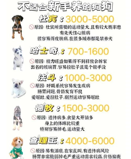宠物狗安乐死多少钱_1