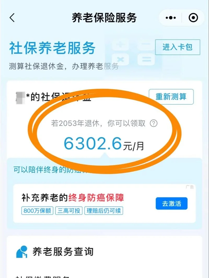 如何查养老保险明细-查询养老明细方法