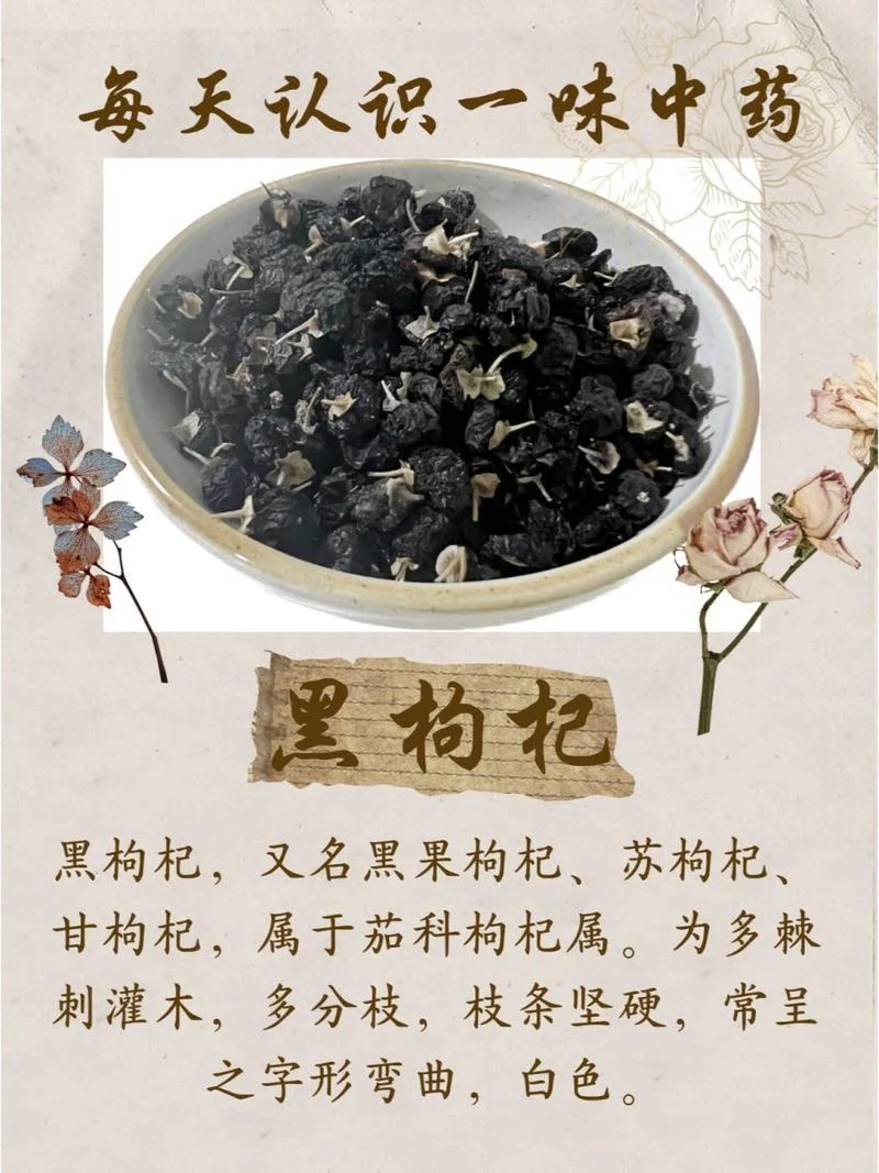 青海黑枸杞介绍_1