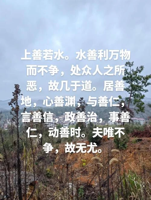 上善若水下一句藏头诗_1