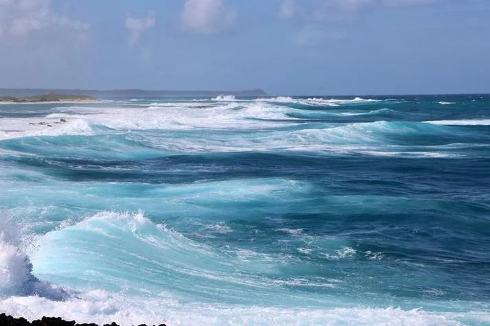梦见海浪很大_1