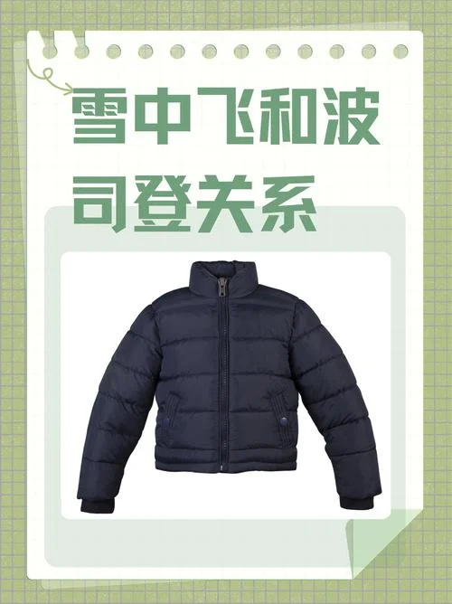 国内哪个羽绒服品牌好_1