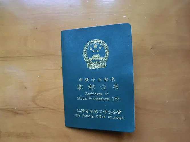 山东职称证书查询系统_2
