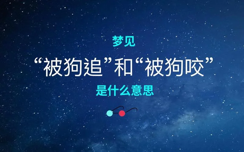 女人梦见狗在追自己哟_1