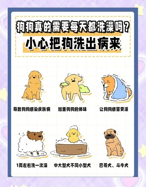 梦见给狗洗澡是什么意思-梦见给狗洗澡的含义