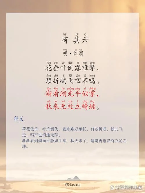 荷笠带夕阳下一句是什么_1
