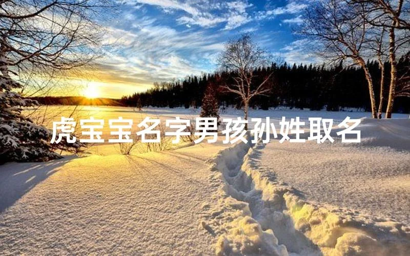 虎宝宝起名字女孩姓孙-孙氏女孩虎宝宝名