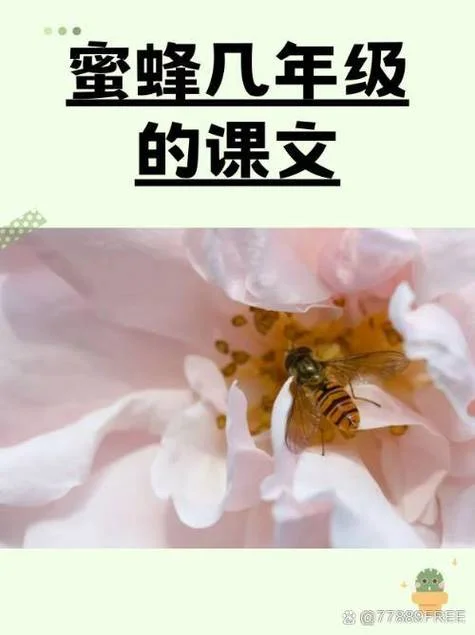 蜜蜂作者是谁_2
