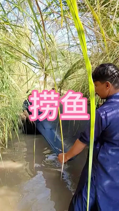 梦见捞鱼是什么意思_1