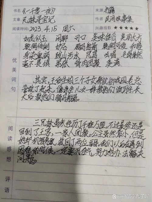 浙江寻宝记读后感_1