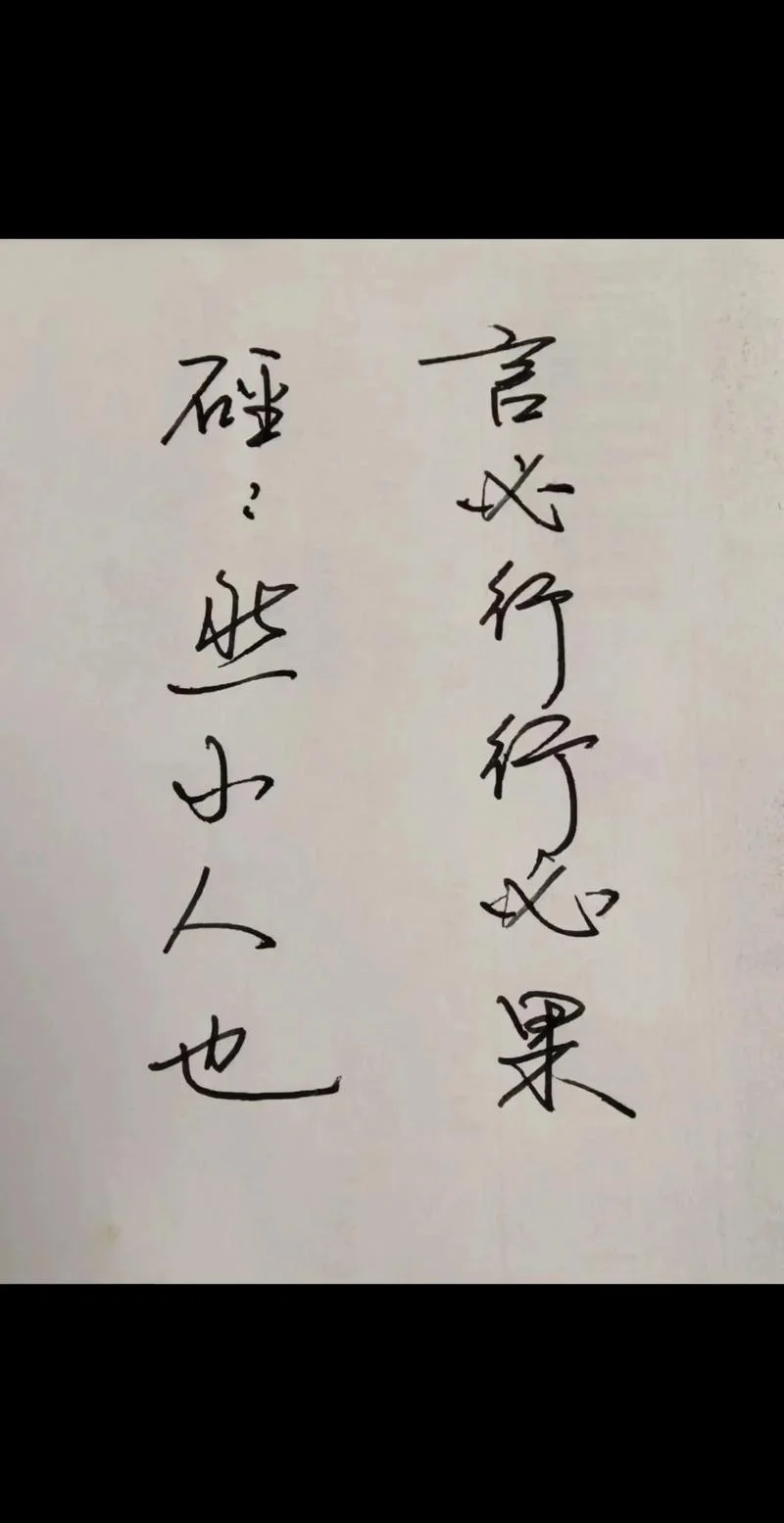 言必出行必果文案-言必行果言必行