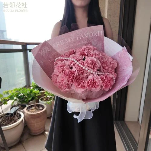 梦见康乃馨花周公解梦_1