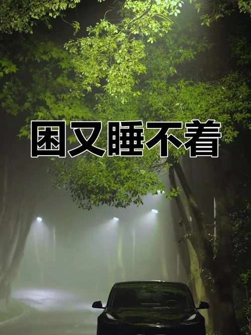 明明很困却睡不着说说_1