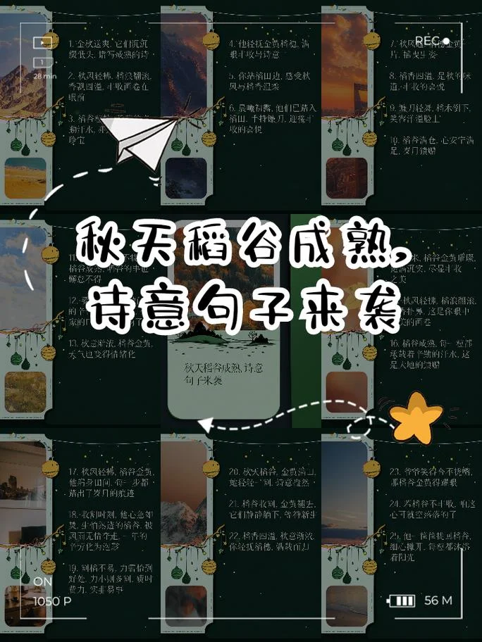 秋天的诗词文案-秋诗文案精选