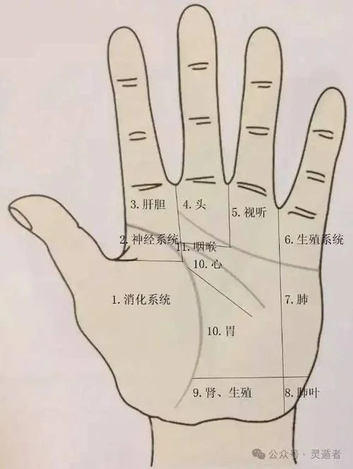 玄易看手相是真的吗_2