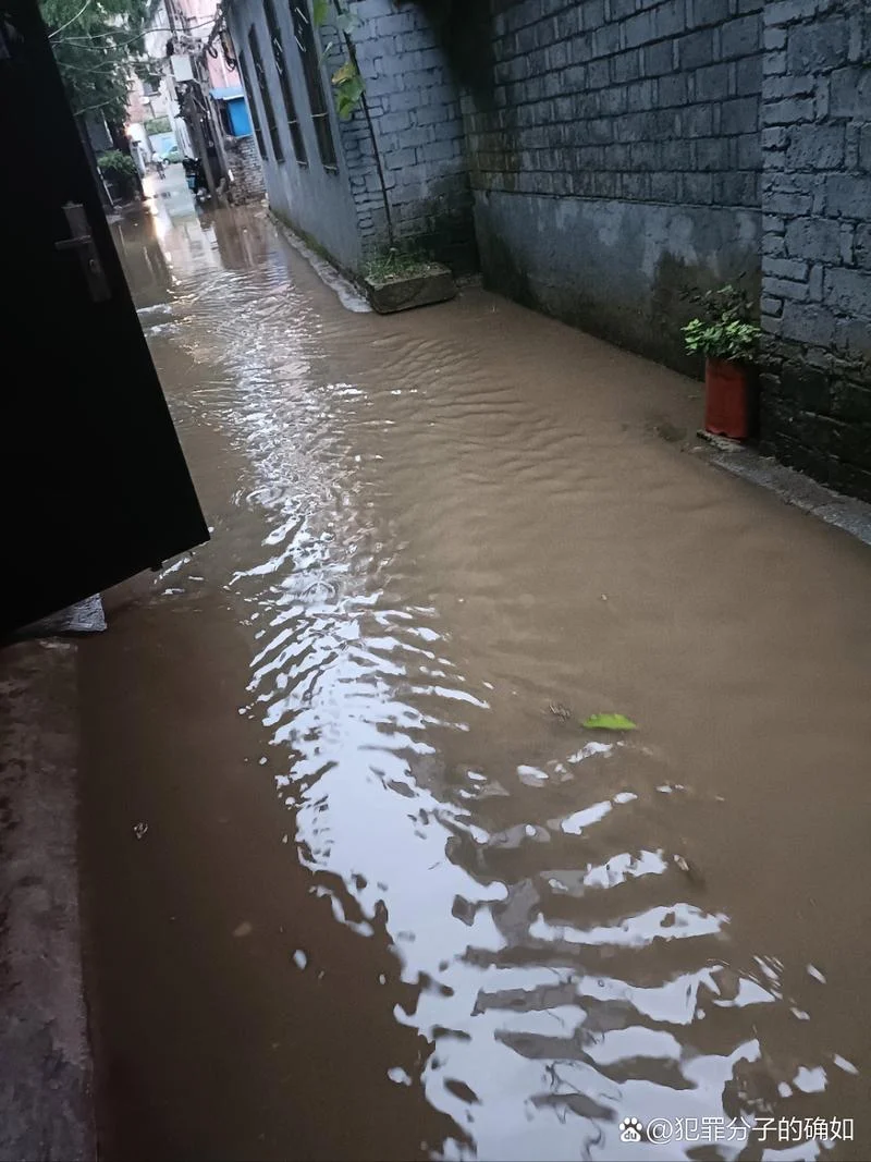 梦见门前积水很深_2