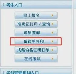 卫生专业考试成绩查询_1