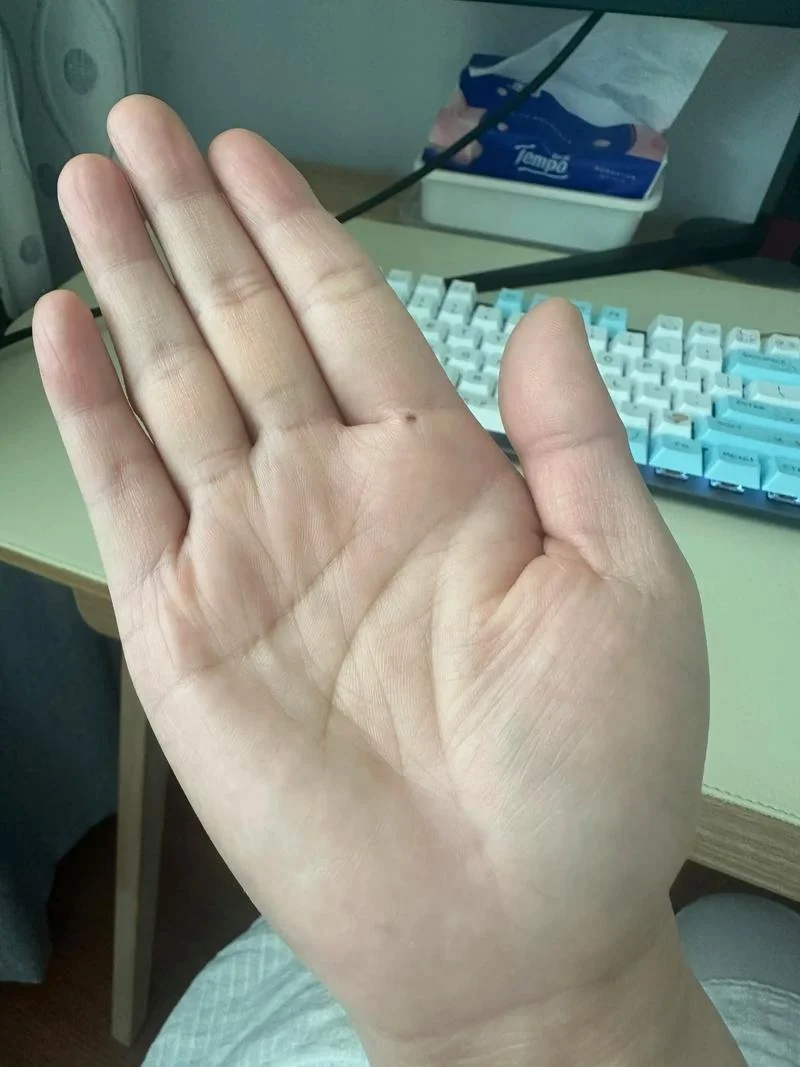 坐牢的手相图片-坐牢手相图