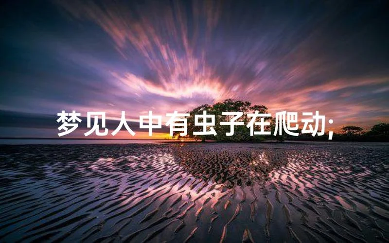 梦见好多小虫子追我_2