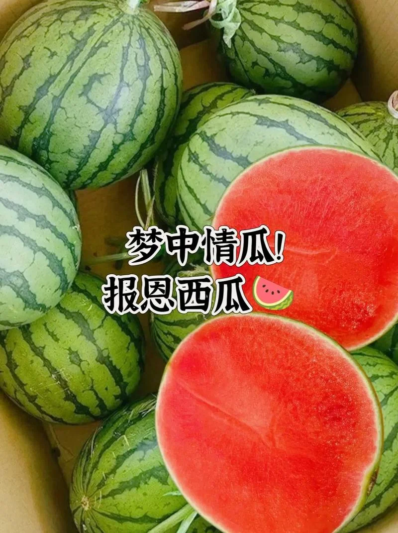梦到吃西瓜真甜_2