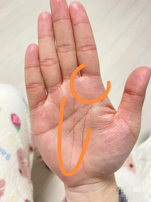 手相事业线看哪个手_1
