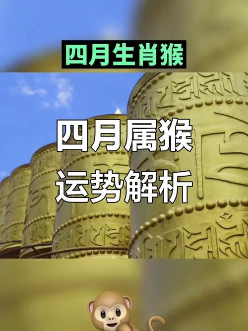 2019属猴的运势怎么样_1