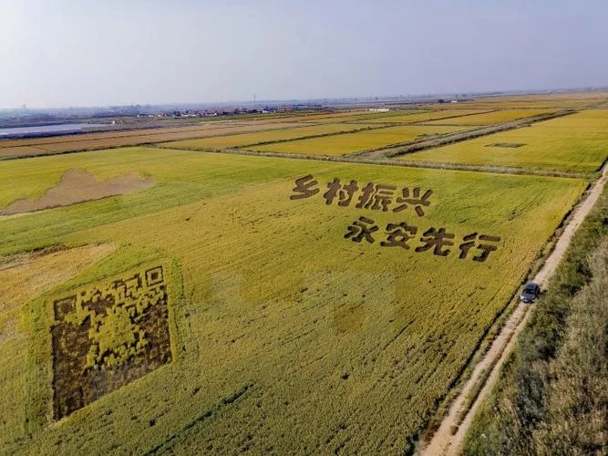 垦利到东营多少公里_2