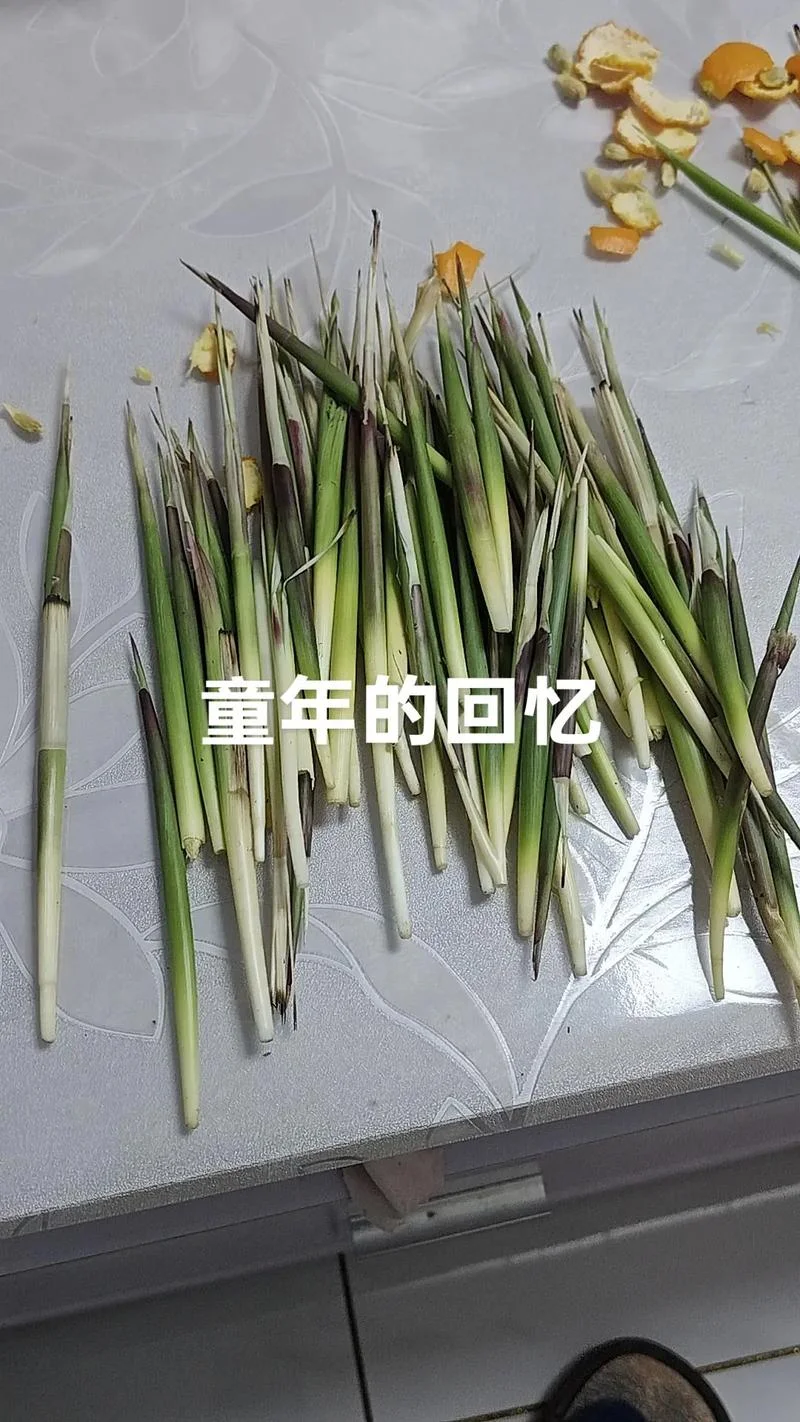 童年回忆_1