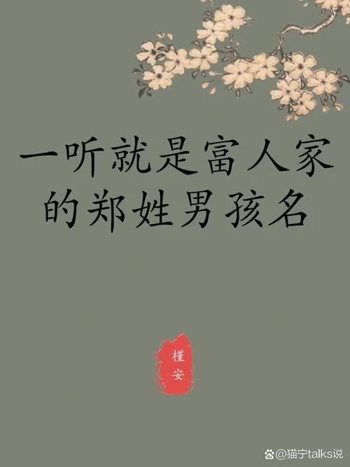 郑姓男孩起名简单_2
