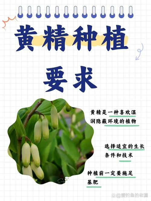 药材种植项目简介_2