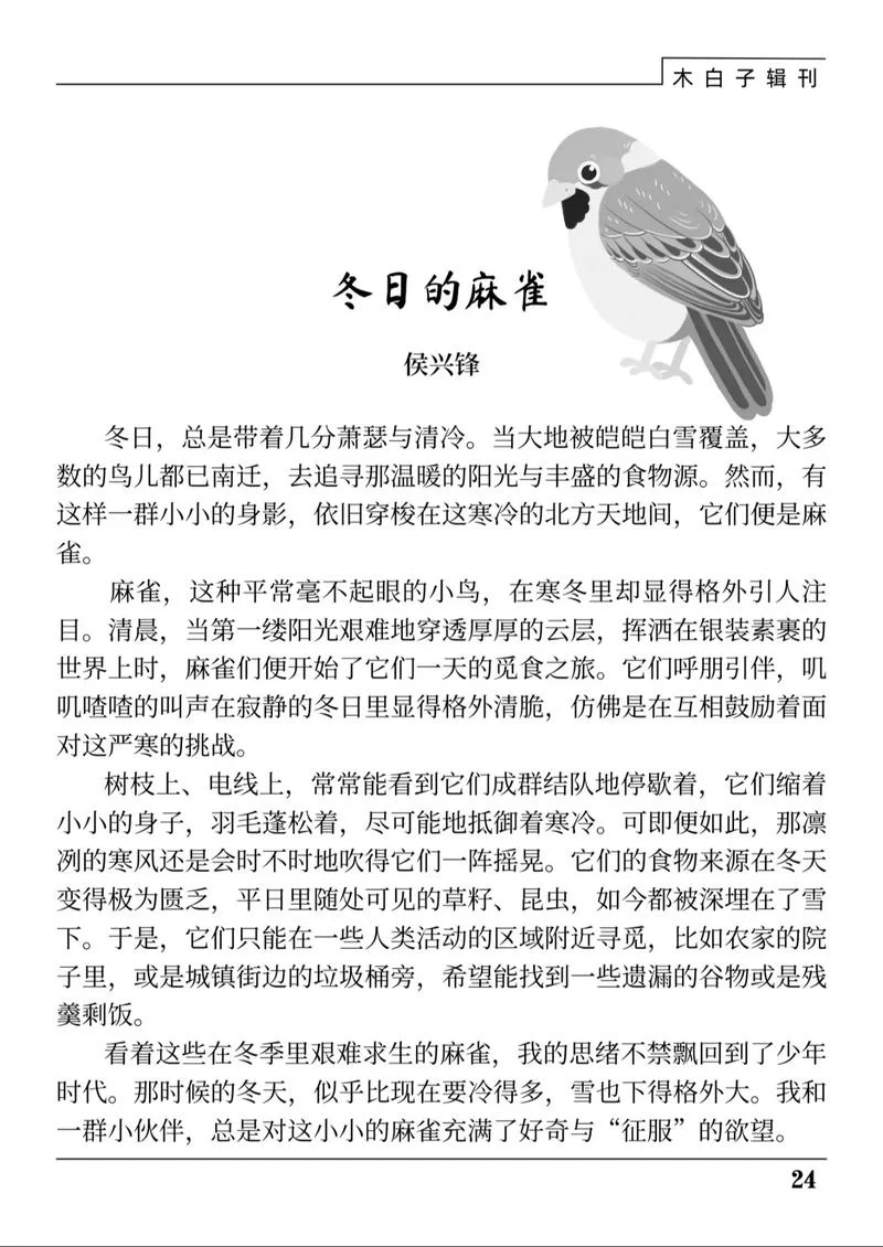 麻雀作读书笔记_2