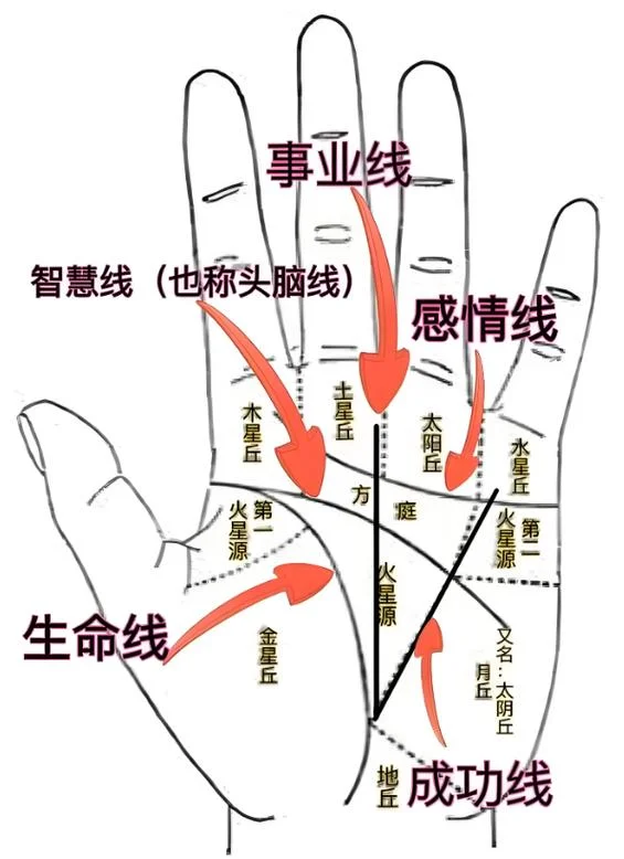 男士手相三角纹图解-男士手相三角纹图解