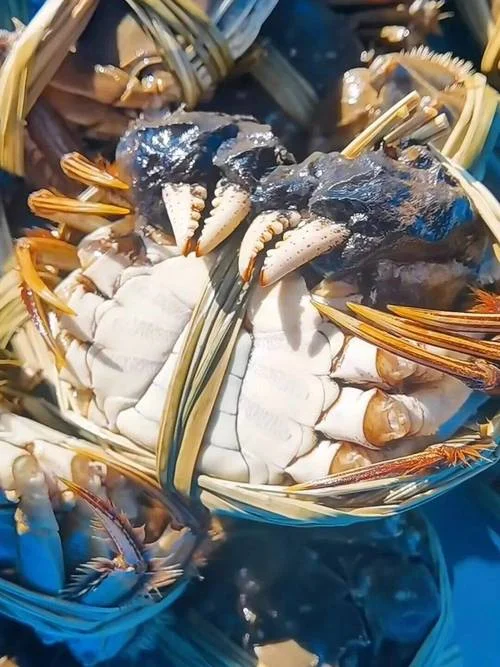 梦见大闸蟹_2