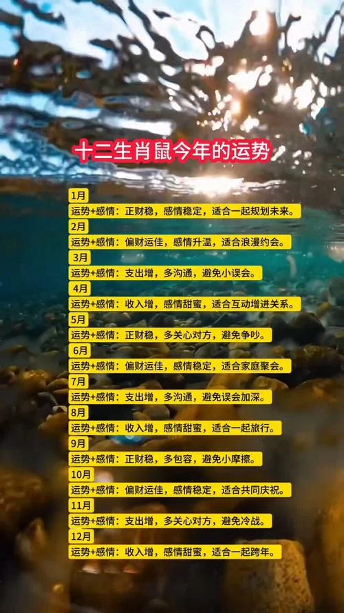 鼠年出生的人哪年12岁_1