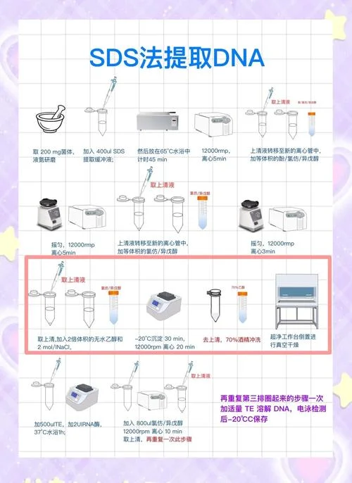 核酸蛋白检测仪怎么用_2
