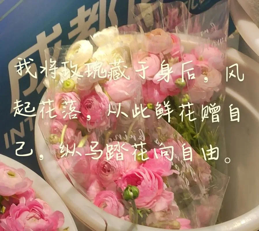 鲜花易谢下一句-鲜花易谢莫留