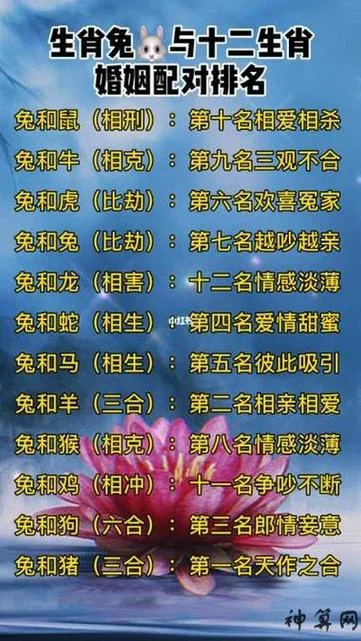 96年属跟什么属相配最好_1