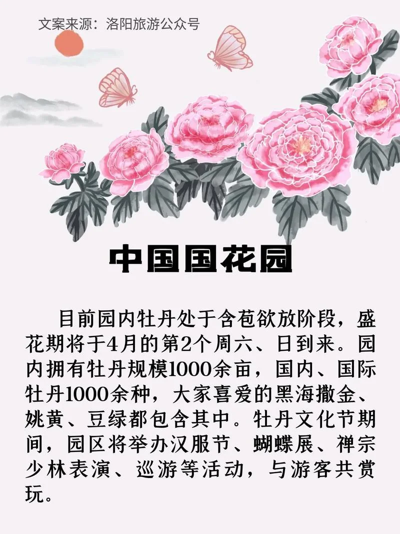 洛阳牡丹几月份开得最好看-洛阳牡丹三月开